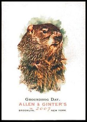 183 Groundhog Day